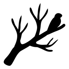 Fototapeta premium Silhouette of a bird perched on a bare branch against white background