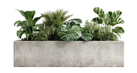 Gray concrete planter filled with lush greenery.  Various plant types, including large leaves and ferns, create a vibrant arrangement