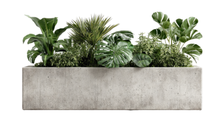 Gray concrete planter filled with lush greenery.  Various plant types, including large leaves and ferns, create a vibrant arrangement
