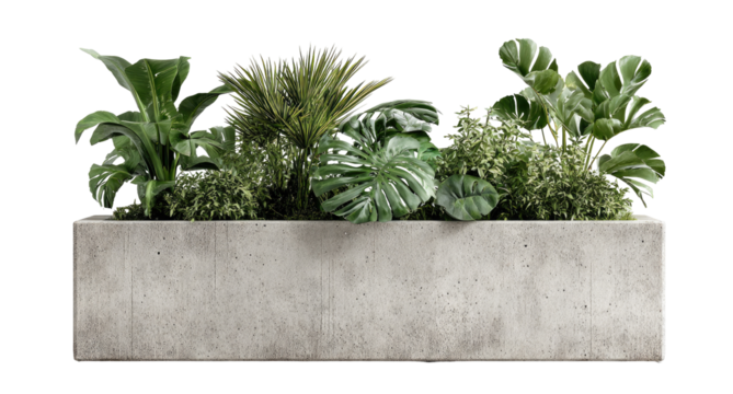 Gray concrete planter filled with lush greenery.  Various plant types, including large leaves and ferns, create a vibrant arrangement