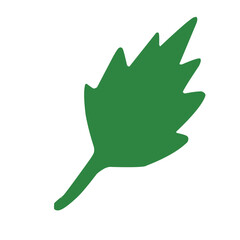 green leaf vector illustration, cute doodle, element, perfect for greenery decoration