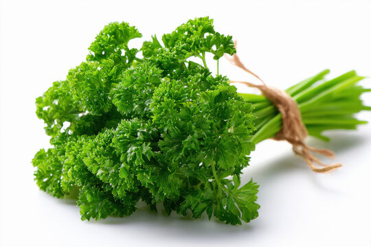 green parsley on white background - Powered by Adobe