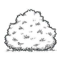 Black and white sketch of a bush with leafy details and grassy base. Vector illustration
