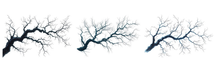 Fototapeta premium Bare Tree Branches Silhouetted Against. Nature'S Intricate Patterns And Winter Aesthetics Isolated On Transparent Background