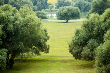 Beautiful landscape with beautiful rural nature during summer in the Republic of Moldova.
