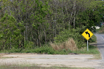 Cautionary Curved Road Sign Surrounded by Green Vegetation