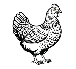 Black and white illustration of detailed chicken standing upright with visible feathers, comb, wattle, and legs in vintage line art style 