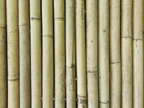 Close-up of old fence made of weathered natural unfinished bamboo poles