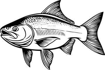 Salmon Fish Lineart Vector for Logo Design