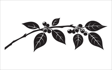 coffee branch of a tree