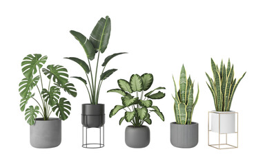 Collection of trendy indoor plants in stylish modern pots.  Perfect for home decor, interior design, and plant lover concepts.