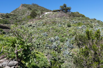 Anaga-Gebirge auf Teneriffa