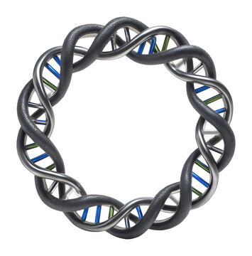 Circular plasmid DNA with supercoiled structure and clear banding pattern