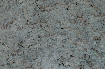 Rough gray concrete wall texture for background and construction
