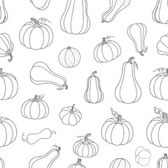 A charming hand drawn collection of various autumnal gourds and squash varieties adorning a white backdrop
