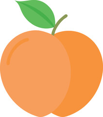 Image Processing Complete