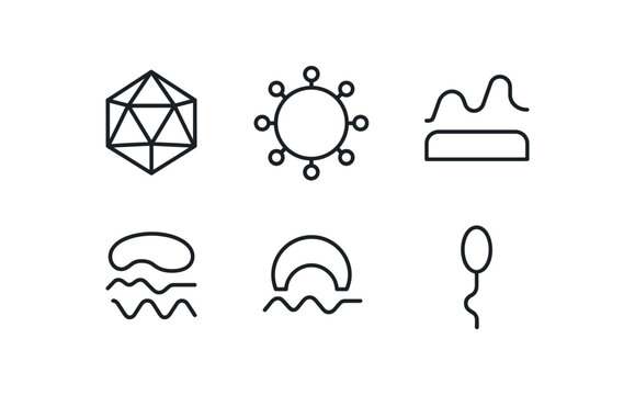 straight perfect stroke icon mono icons style isolated viral infection capsid protein viral infection envelope glycoprotein spike viral infection reverse transcriptase enzyme viral