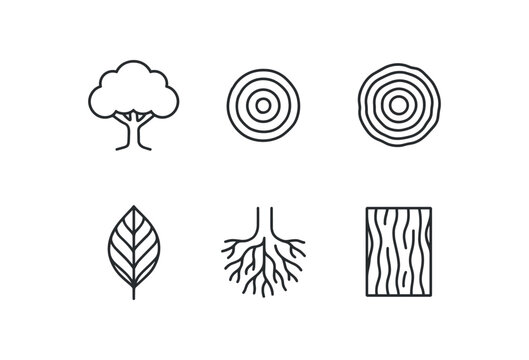 straight perfect stroke icon mono icons style isolated tree canopy layer tree tnk section tree ring pattern tree leaf venation tree root system tree bark teture