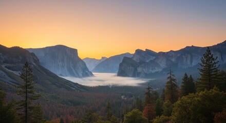 Obraz premium A stunning sunrise over a misty valley, framed by majestic mountains, and foregrounded by a forest of evergreen trees