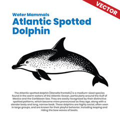 Atlantic Spotted Dolphin Vector Art Illustration. A creative vector illustration of the Atlantic spotted dolphin, recognized for its unique spotted patterns and slender body.