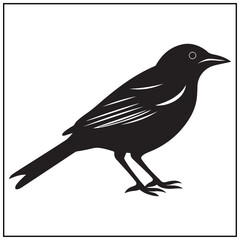 Obraz premium Vector art of small bird standing on its feet isolated on white background