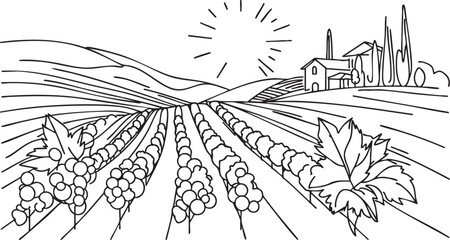 Sketch vineyard simple landscape. Hand drawn monochrome vintage horizontal sketch
