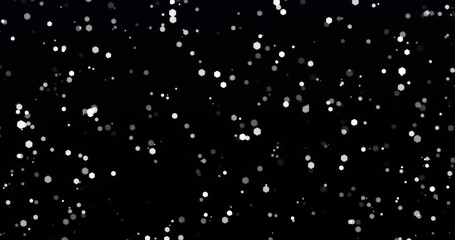 White and black particle bokeh floating in black background. Loop - Powered by Adobe