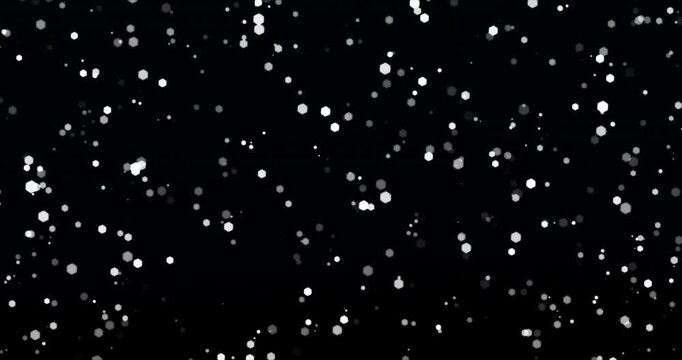 White and black particle bokeh floating in black background. Loop