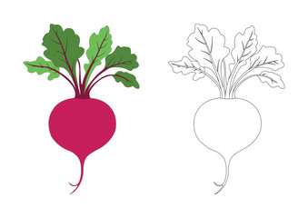 Black and white art cartoon beetroot illustration for baby kids simple line art. outline style for paint. children coloring book pages educational drawings learning preschool healthy eating concepts