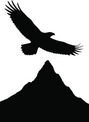 Obraz premium Majestic wildlife silhouette flying over mountain peak