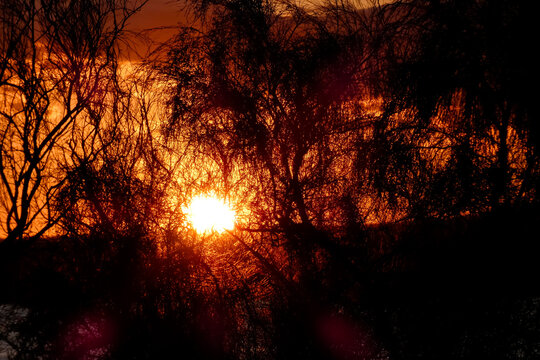 Birds flying during golden hour sunset with dark clouds and lens flare