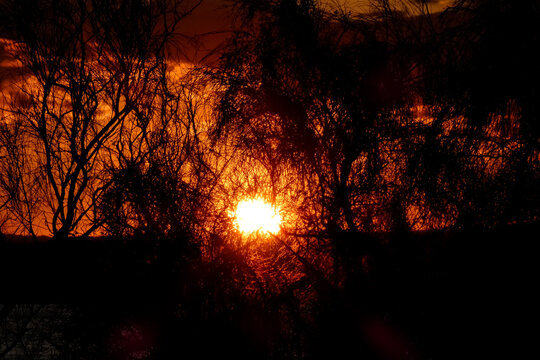 Birds flying during golden hour sunset with dark clouds and lens flare