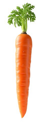 Fresh, organic carrot. Healthy vegetable offers natural raw food nutrition