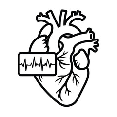 Human heart with electrocardiogram heartbeat line