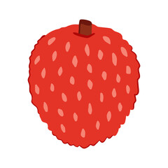 Lychee in hand drawn style. Vector illustration isolated on white background