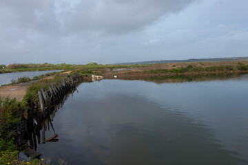 Salt marshes reflecting the blue sky near the city of faro in portugal