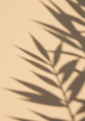 Shadow of palm leaves on beige wall creating textured pattern  