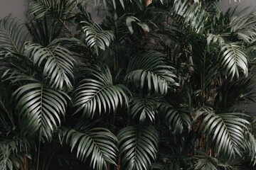 Lush palm leaves, dark green tones, dense foliage