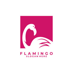 Modern Flamingo bird logo design vector template