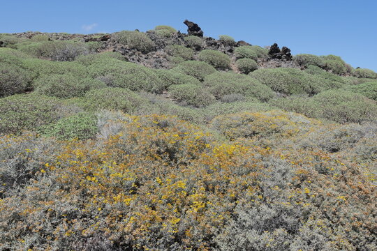 Felsenlandschaft bei Tajao im S&uuml;den von Teneriffa