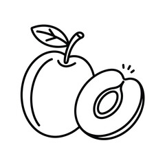 Simple line drawing of a plum and a halved plum