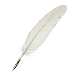 Pristine elegant quill feather pen from a white goose with a polished metallic nib, brand new, isolated on a seamless transparent background, concept of historical elegance.