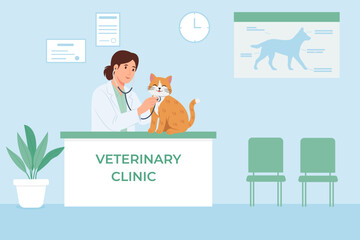 Veterinary clinical help.Veterinarian examining cat in hospital. Doctor checking heartbeat of a cat with a stethoscope.Vector illustration