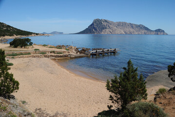 La spiaggia di Punta Molara, sullo sfondo l'isola di Tavolara