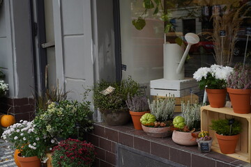 Vibrant flower shop display featuring a variety of plants and floral arrangements in an urban setting