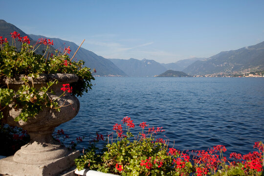 Red geraniums and lake, Bellagio, Lake Como, Lombardy, Italian Lakes, Italy