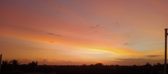 beautiful environment and paddy field 