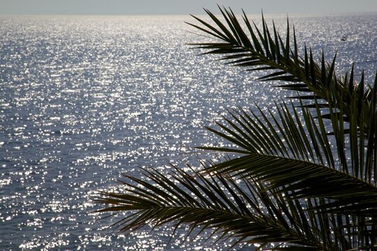 Adriatic Sea, Budva, Montenegro