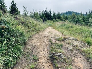 Beskid Sądecki - szlak turystyczny
