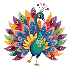 peacock feather vector